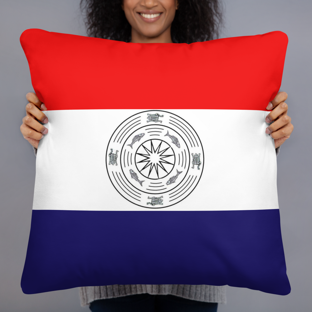 Karenni Flag Basic Pillow